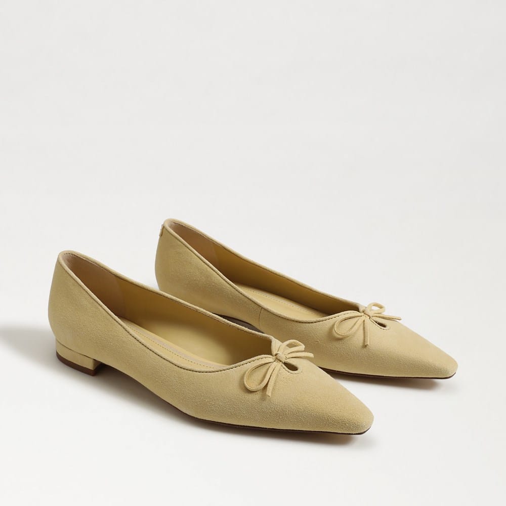 Esmira Pointed Toe Ballet Flat