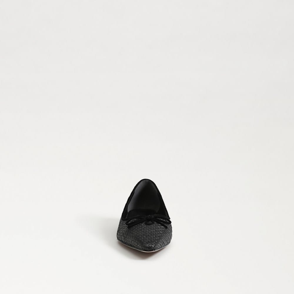 Esmira Pointed Toe Ballet Flat - Image 3