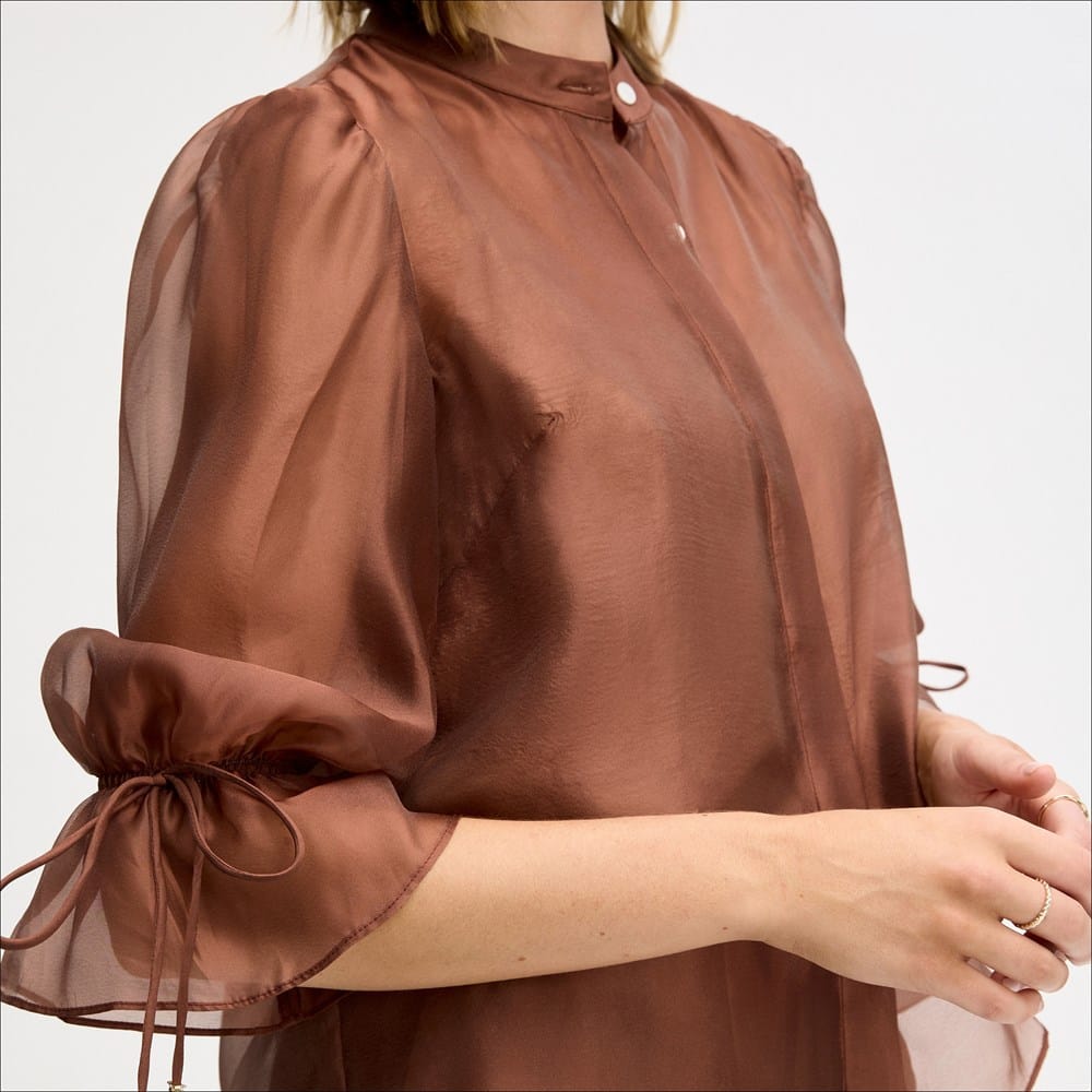 Sheer Blouson Sleeve Shirt - Image 6