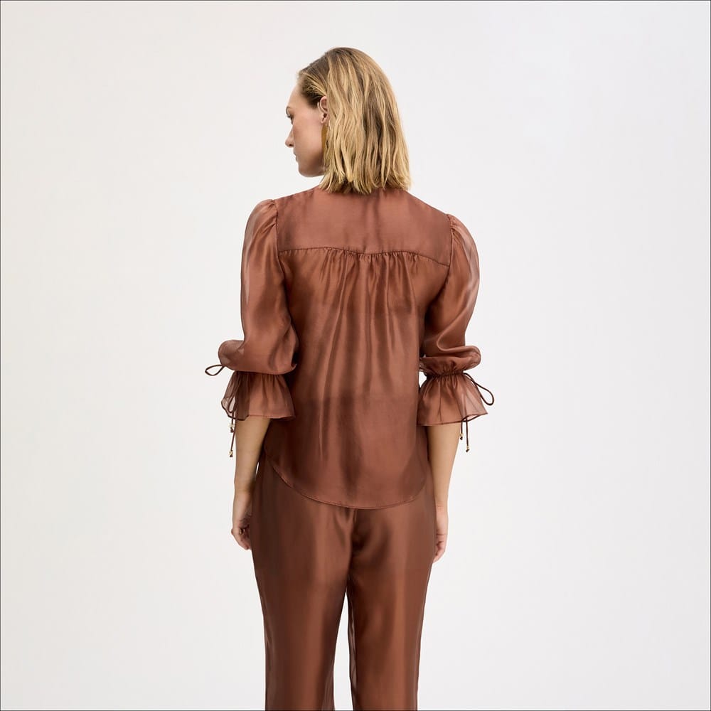 Sheer Blouson Sleeve Shirt - Image 4