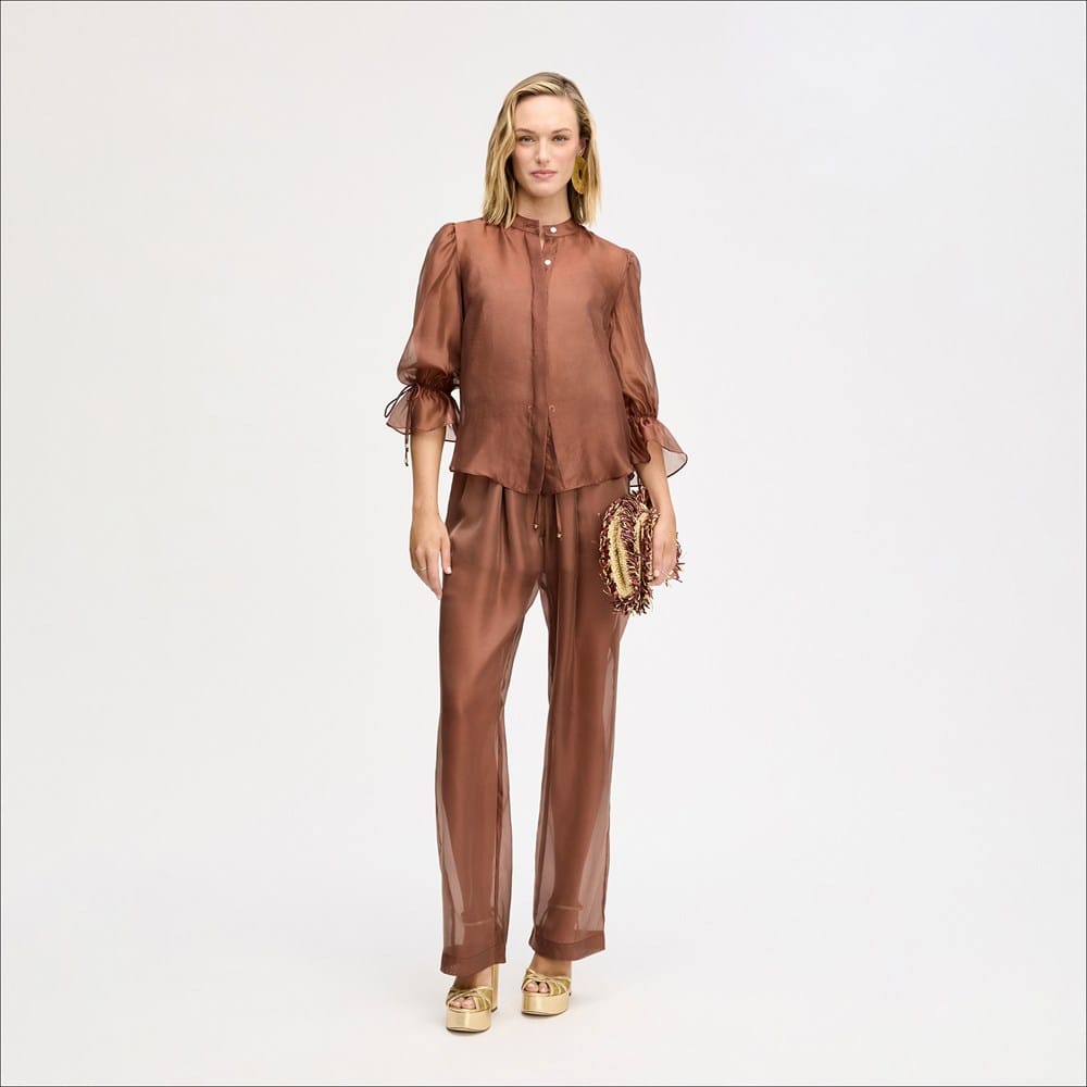 Sheer Blouson Sleeve Shirt